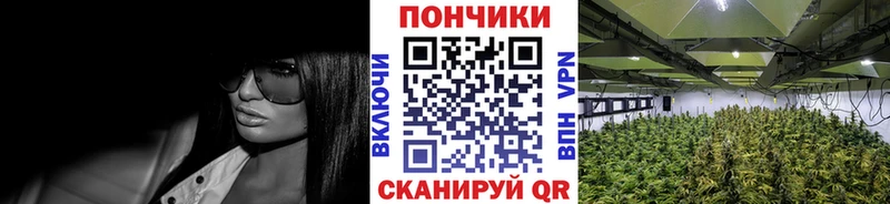 Виды наркоты Духовщина blacksprut ссылка Меф мяу мяу COCAIN МДМА СОЛЬ Псилоцибиновые грибы