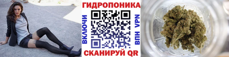 Бошки Шишки сатива Духовщина